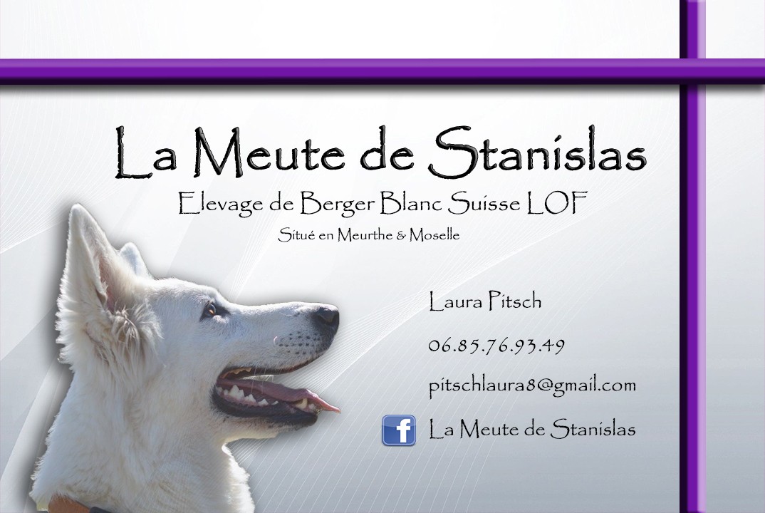 De La Meute De Stanislas
